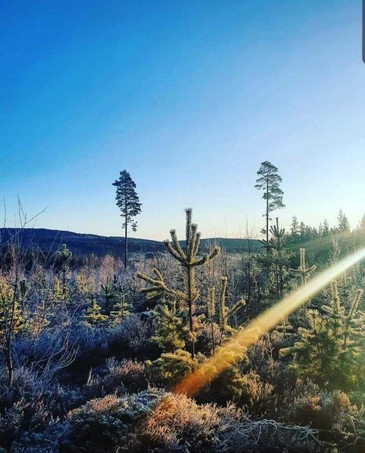 Mysig Timmerstuga Med Braskamin Naera Hovfjaellet Torsby Esterno foto