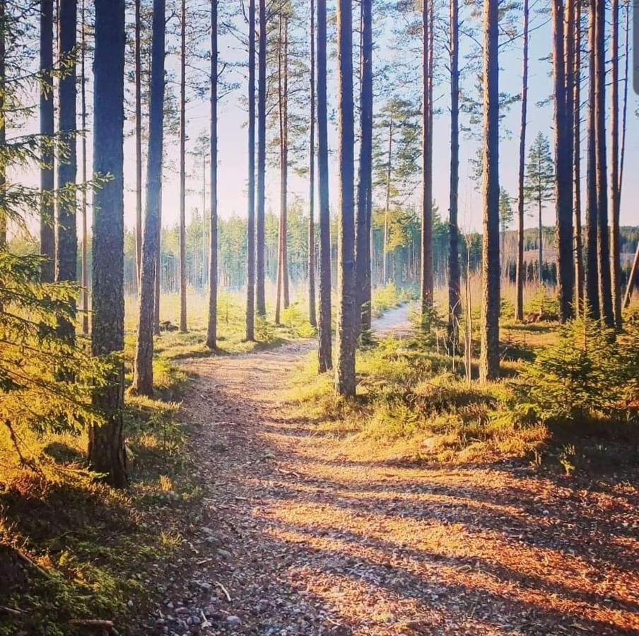 Mysig Timmerstuga Med Braskamin Naera Hovfjaellet Torsby Esterno foto